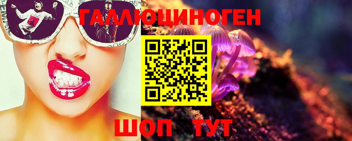 Псилоцибиновые грибы GOLDEN TEACHER  Вход с VPN  Екатеринбург 